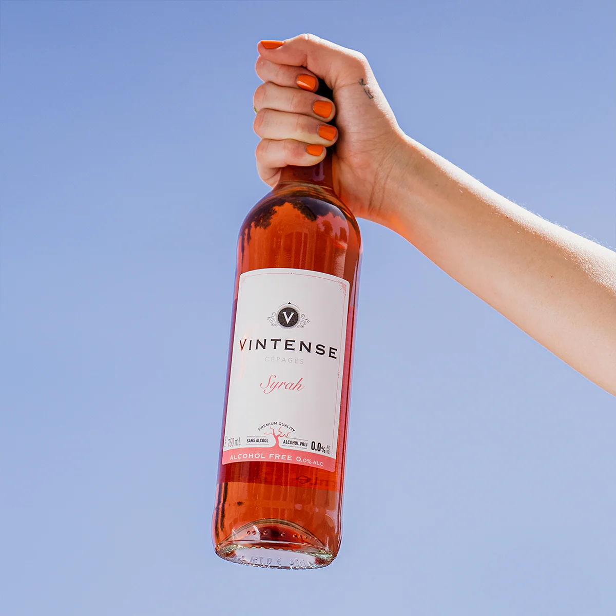 Cepage Syrah Rose